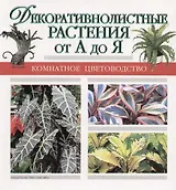 Декоративнолистные растения от А до Я
