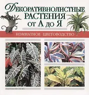 Декоративнолистные растения от А до Я