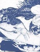 Вода. Книга о самом важном веществе в мире - 1