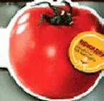 Помидор: Рецепты на магните
