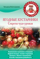 Ягодные кустарники. Секреты чудо-урожая