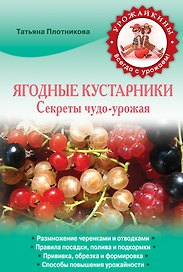 Ягодные кустарники. Секреты чудо-урожая