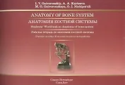 Анатомия костной системы: рабочая тетрадь к учебному пособию (на английском языке)