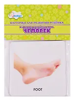 Карточки для развития ребенка "Мои первые английские слова. Человек"