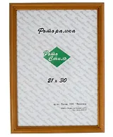 Рамка 21*30 дерево бронза 3738
