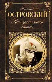 Как закалялась сталь: роман