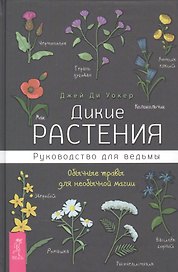 Дикие растения: руководство для ведьмы. Обычные травы для необычной магии