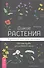 Дикие растения: руководство для ведьмы. Обычные травы для необычной магии - 0