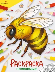 Насекомые. Окружающий мир. Раскраска