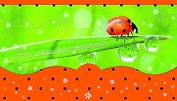 Конверт для денег На исполнение желаний! [РЕ221-00033]