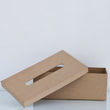 Заготовка из папье-маше «Коробка-салфетница», 9х25х14 см