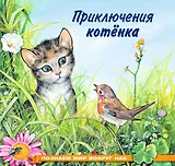 Приключения котенка