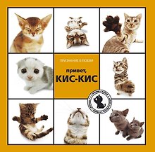 Привет, КИС-КИС