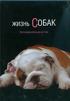 Альбом, Жизнь собак