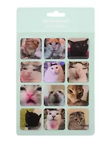 3D стикеры Коты эмоции