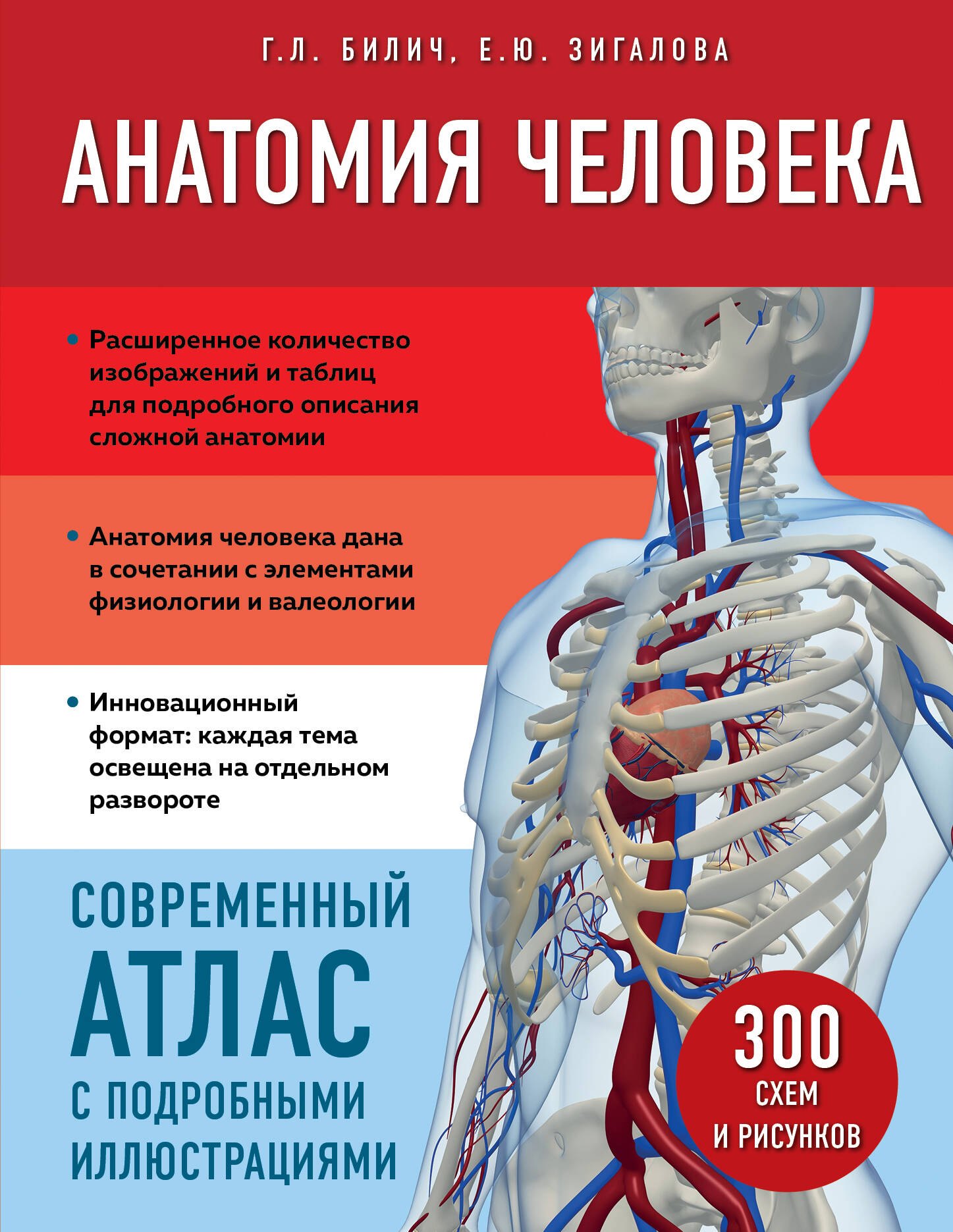  Анатомия человека. Современный атлас с подробными иллюстрациями