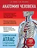 Анатомия человека. Современный атлас с подробными иллюстрациями - 0