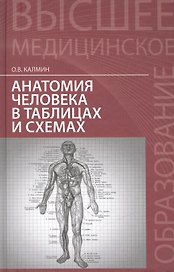 Анатомия человека в таблицах и схемах: учеб. пособие