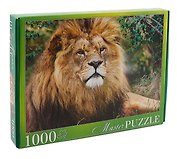 Пазл Masterpuzzle 1000 эл. Африканский лев ГИМП1000-6884
