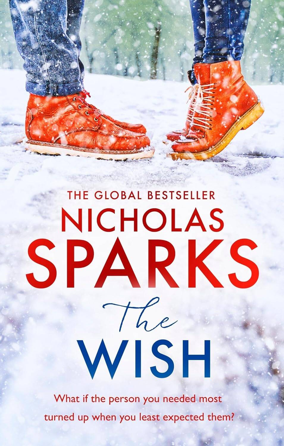 Обложка книги «The Wish»