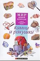 Камни и ракушки