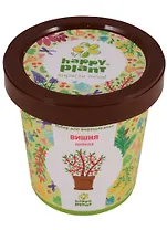 Набор для выращивания Горшок Вишня дивная (hpn-3)