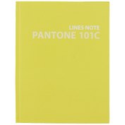 Книга для записей «Pantone Line. Color '21. 3», А5, 96 листов, линованная, Listoff