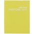 Книга для записей «Pantone Line. Color '21. 3», А5, 96 листов, линованная, Listoff - 0