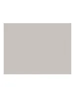 Бумага для пастели 50*65 "Mi-Teintes" 160г/м2 №335 белый, Canson