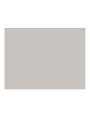 Бумага для пастели 50*65 "Mi-Teintes" 160г/м2 №335 белый, Canson