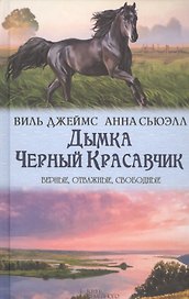 Дымка. Черный Красавчик