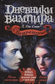 Возвращение: Тьма наступает, Души теней