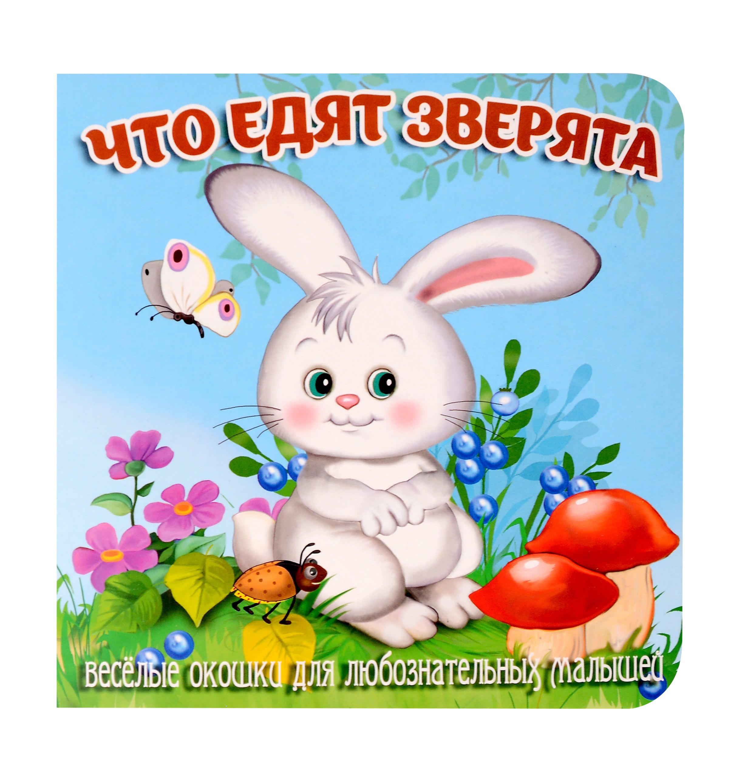 

Что едят зверята