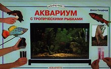 Аквариум с тропическими рыбками