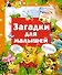 Кн.с Окошками.МПК.Загадки для малышей - 0