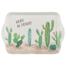 Мини-поднос Кактусы Hero in desert (21*14см) (пластик)
