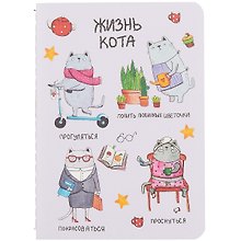 Записная книжка «Жизнь кота» А6, 32 листа в клетку, сшивка