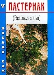 Пастернак (Посади сам) (м)