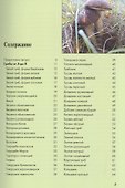 Атлас-определитель.Грибы средней полосы России - 1