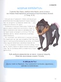 Усатые, пернатые и хвостатые. Истории о жуке-астрономе, попугае-полиглоте, барсуке-сладкоежке и остальных - 2