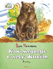 Как медведь в лесу живёт