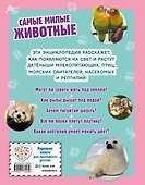 Самые милые животные. Большая энциклопедия для маленьких - 1