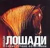Лошади: Самые лучшие фотографии. Альбом
