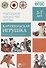 ФГОС Народное искусство - детям. Каргопольская игрушка. Наглядное пособие - 0