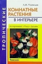 Тропические комнатные растения в интерьере