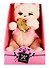 Мягкая игрушка Angel Collection Киска Персик с рыбкой (24 см) (681854) (коробка) - 2
