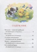 Сказки для любимых малышей - 2