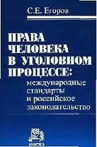 Права человека в уголовном процессе: Международные стандарты и российское законодательство