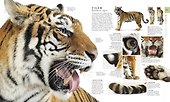 The Natural History Book - 2