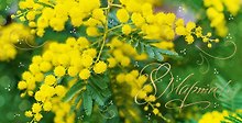 Открытка двойная евро 8 марта [РМ221-0211]